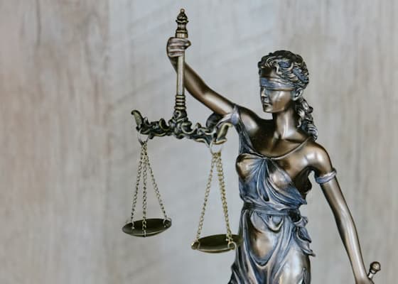Judgement portfolio marketplace — Debexpert