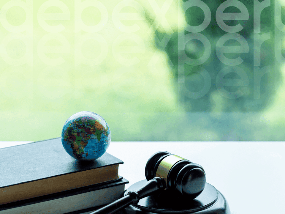 65263cc5a3b83d3a570b2576_A-judge-s-hammer-and-a-globe-on-the-table.png